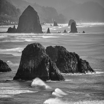 Ecola State Park 3 - Black and White