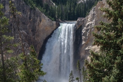 Yellowstone Falls 1
